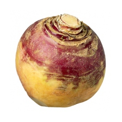 rutabaga