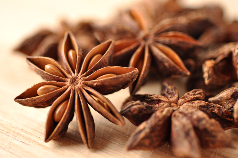 sta-anise-closeup